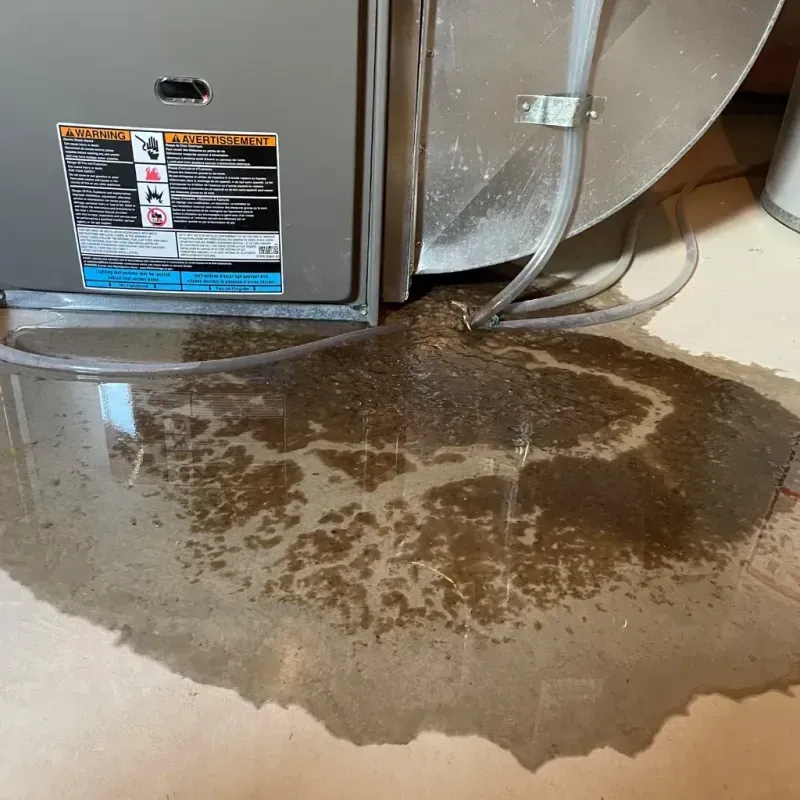 Appliance Leak Cleanup in Kankakee, IL